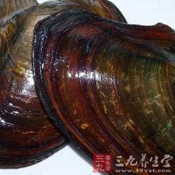 河蚌的吃法和做法视频