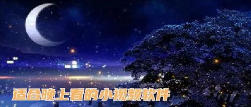 适合晚上看的视频,精选晚间观影佳作